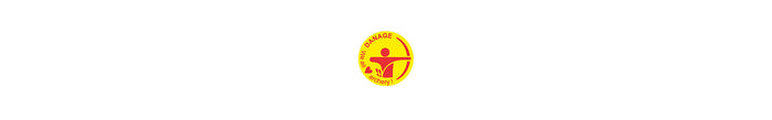 DANAGE DOMINO TARGET