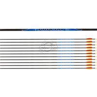 AVALON ARROWS CLASSIC 4.2 FLETCHED