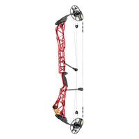 MATHEWS TITLE 36