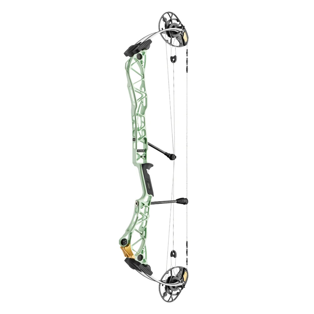 MATHEWS TITLE 36
