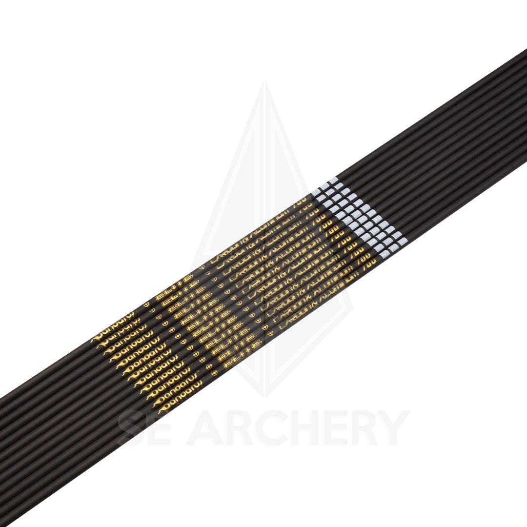 PANDARUS ELITE XT