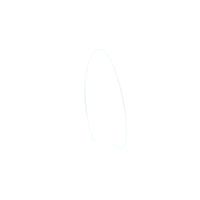 SHREWD FIBER