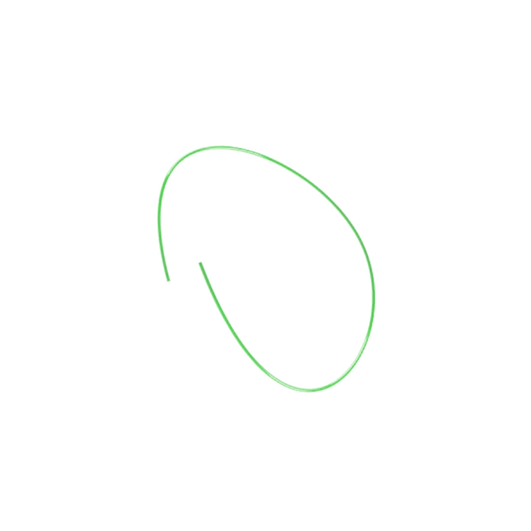 SHREWD FIBER