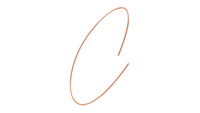 SHREWD FIBER